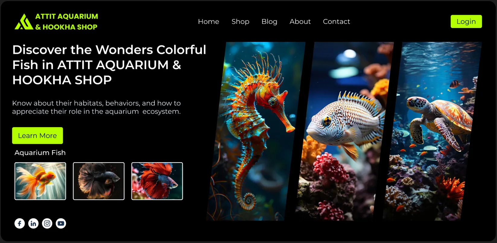 Hero Aquarium Module